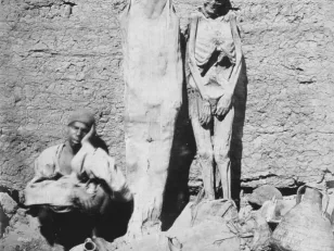Egyptian Mummy Dealer from 1875